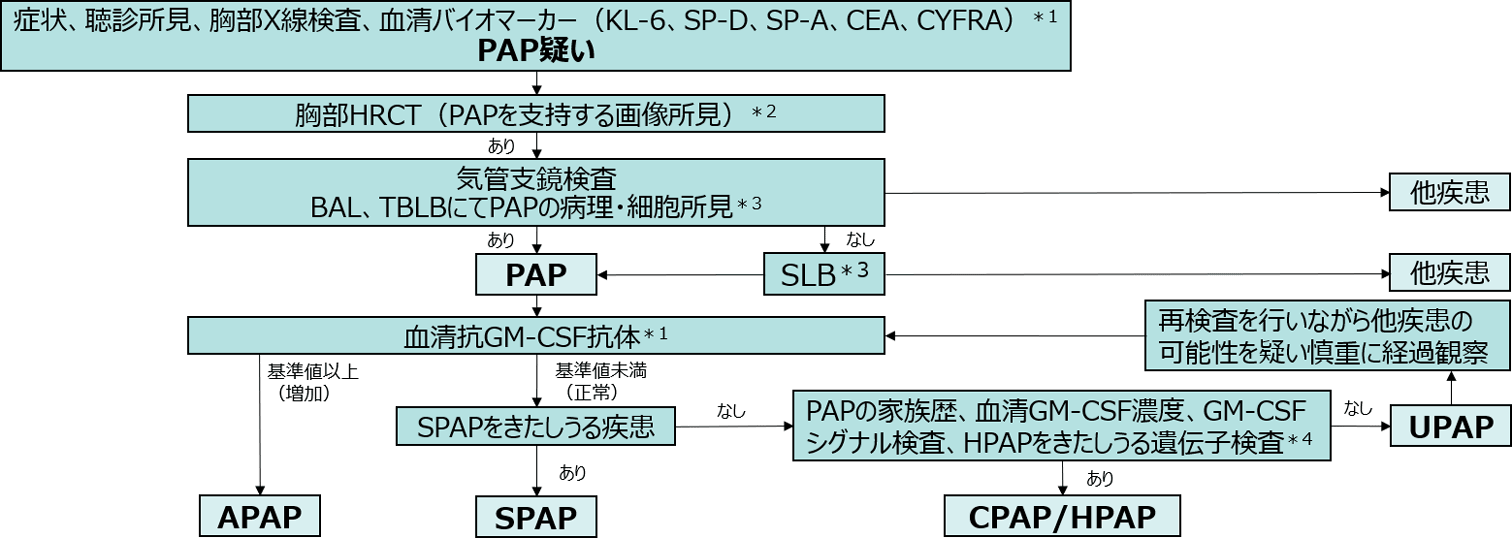 肺胞蛋白症の診断基準で肺胞蛋白症と診断した後、診断アルゴリズムに従って、自己免疫性肺胞蛋白症、続発性肺胞蛋白症、先天性肺胞蛋白症/遺伝性肺胞蛋白症、未分類肺胞蛋白症に分類します。自己免疫性肺胞蛋白症の診断には、血清中の抗GM-CSF自己抗体が基準値のカットオフ値以上に増加（陽性）していることを確認することが必要です。基準値のカットオフ値未満の場合は続発性肺胞蛋白症、先天性肺胞蛋白症/遺伝性肺胞蛋白症、未分類肺胞蛋白症のなかで鑑別を行います。